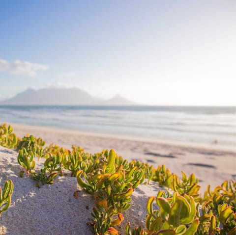 Wander the short distance to Clifton Beach and enjoy the waves washing over your feet