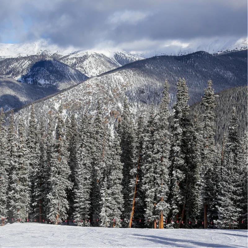 Enjoy the home's ski-in, ski-out access