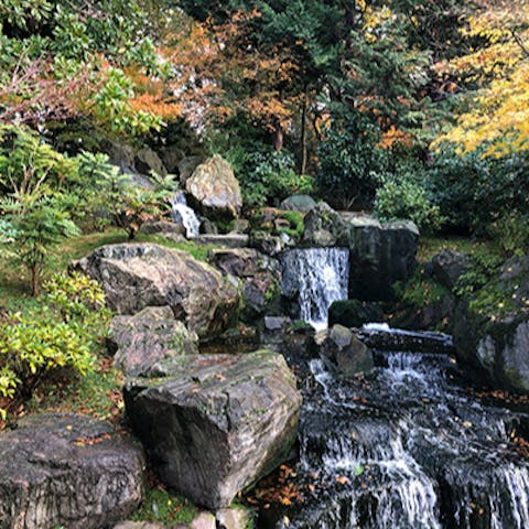 Enjoy a fresh-air-filled stroll around nearby Holland Park