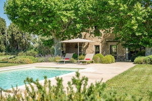 Provençal Radiance image 12