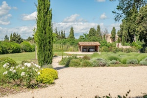 Provençal Radiance image 10