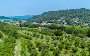 Auberive Garden image 8