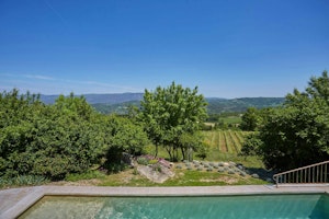 Lavender & Vines image 13