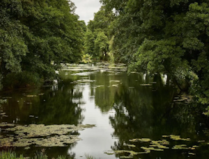 Waterside Acres image 11