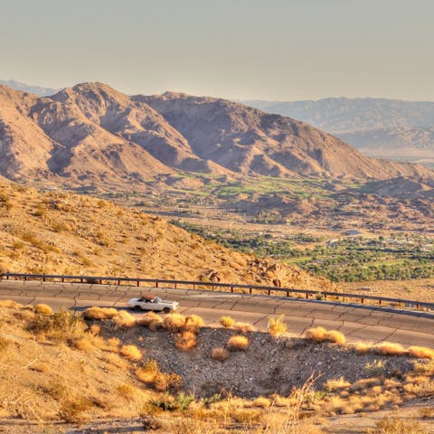 Explore the resort town and desert landscape of La Quinta