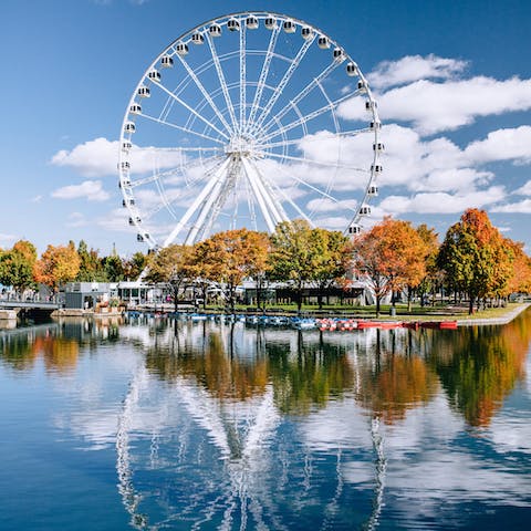 Explore the Old Port of Montréal, under a twenty-minute stroll away