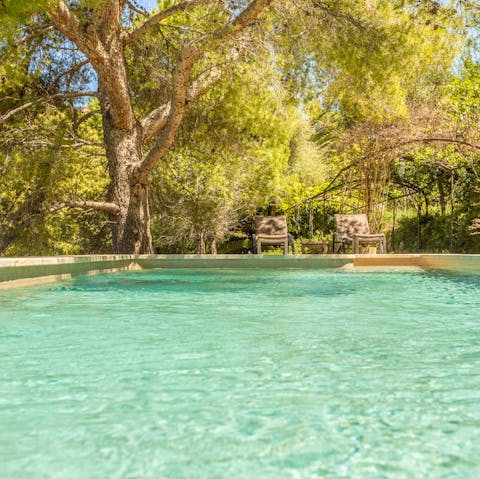 Cool off with a dip in the sparkling pool, surrounded by leafy trees