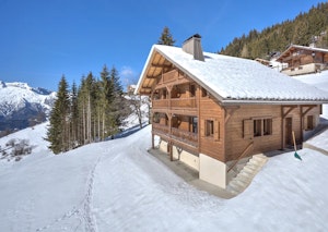 Alpine Meadows image 1