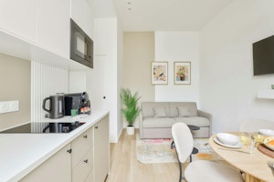 The Elegant Morning image 9