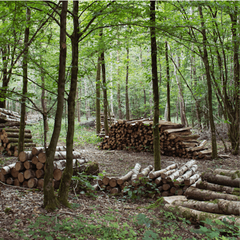 Explore the Ardennes from the village of Chiny