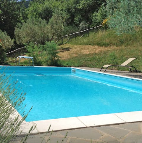 Jump into the home's swimming pool and splash about in the cooling waters