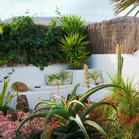 Relax among the tropical plants in the private courtyard garden