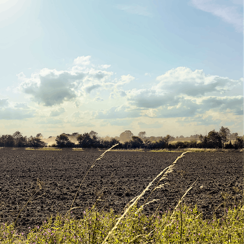 Get back to nature and explore Halesworth's surrounding countryside