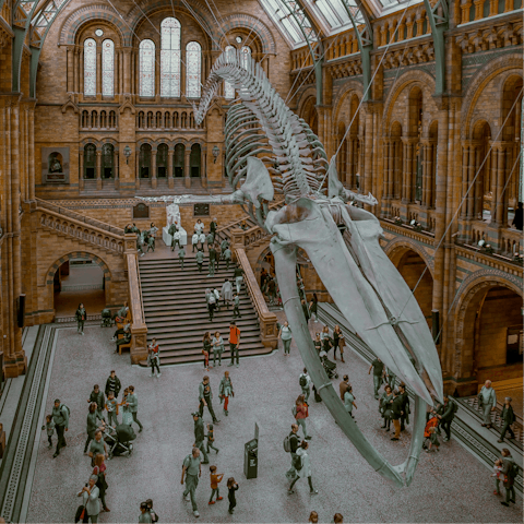 Spend hours exploring the Natural History Museum – it's just down the road