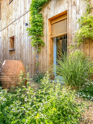 The Wildflower Garden image 3