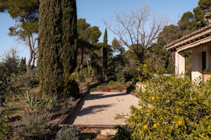 Piece of Provence image 10