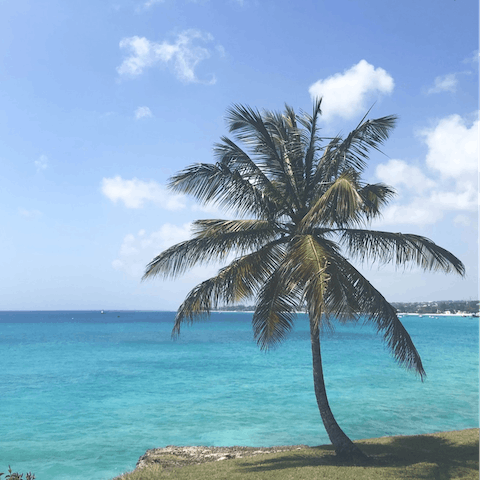 Make the most of your stunning location on the west coast of Barbados