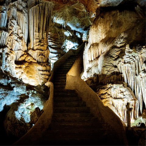 Explore the renowned Campanet Caves, and gaze at dramatic rock formations