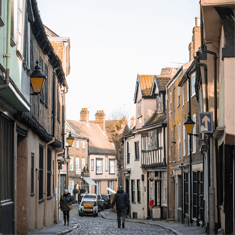 Visit the city of Norwich for a day trip, around forty miles or an hour away by car