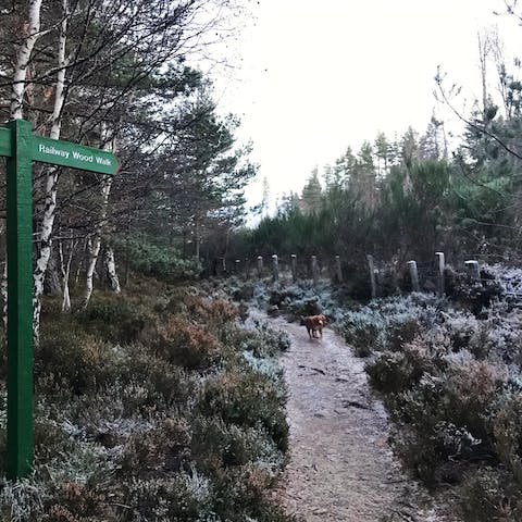 Hit the local walking trails across the Cairngorms National Park