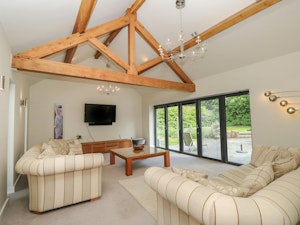 New Forest Delight image 1