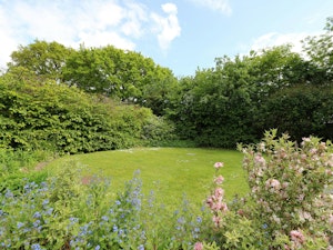 New Forest Delight image 15