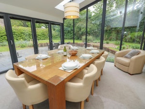 New Forest Delight image 13