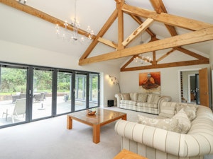 New Forest Delight image 12
