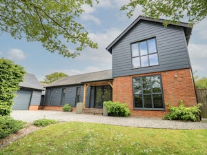New Forest Delight image 10