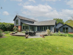 New Forest Delight image 4