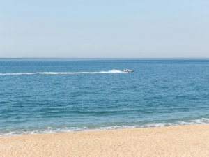 Chesil Beach Beauty image 4