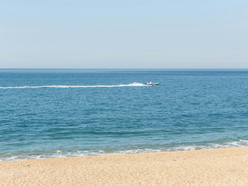 Chesil Beach Beauty additional image