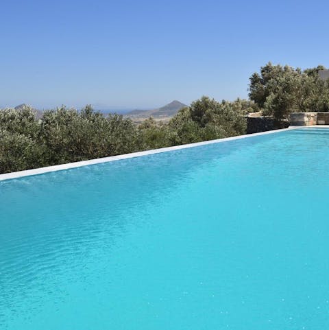 Swim laps in the infinity pool above the olive grove