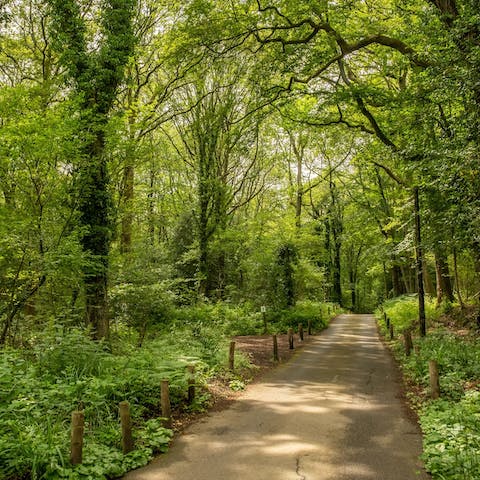 Take a relaxing stroll through the Surrey Hills