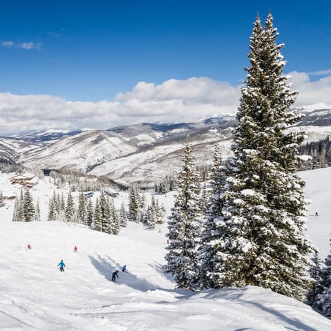 Hit Colorado's famed slopes in the winter