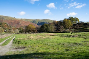 Fields & Fells image 12