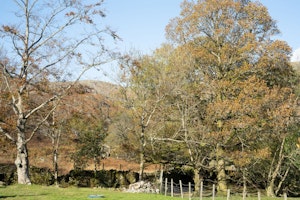 Fields & Fells image 6