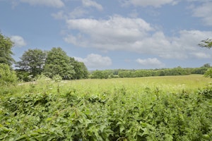The Secret Barn image 8