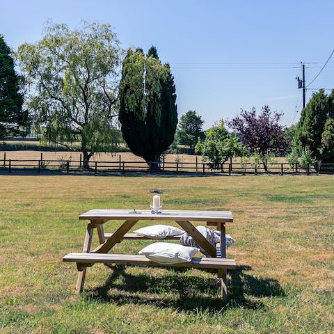 Tuck into a delicious picnic next to the adjoining paddock