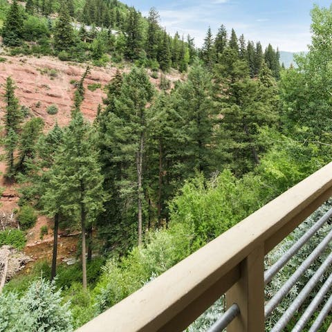 Listen to the rush of the creek and enjoy the mountain views on the balcony