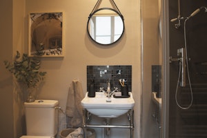 The Parisienne image 6