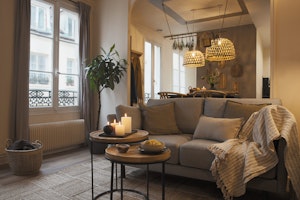 The Parisienne image 2