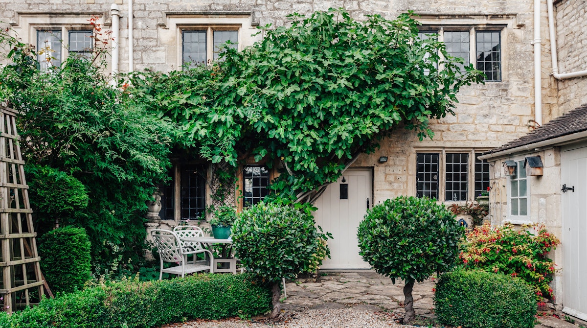 The 99 Yew Trees, South West England