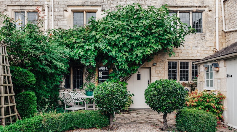 The 99 Yew Trees main image