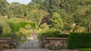 Sweet Green Grass image 10