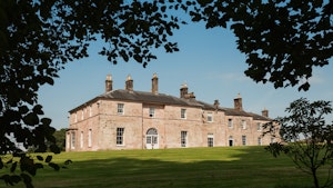 Sweet Green Grass image 1