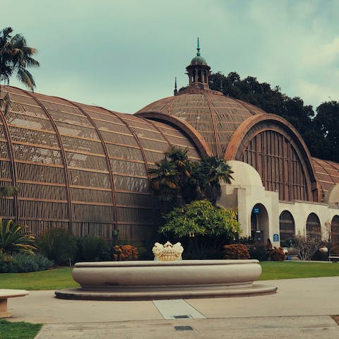 Take a stroll through the botanical gardens at Balboa Park, a twenty-three minute walk from home