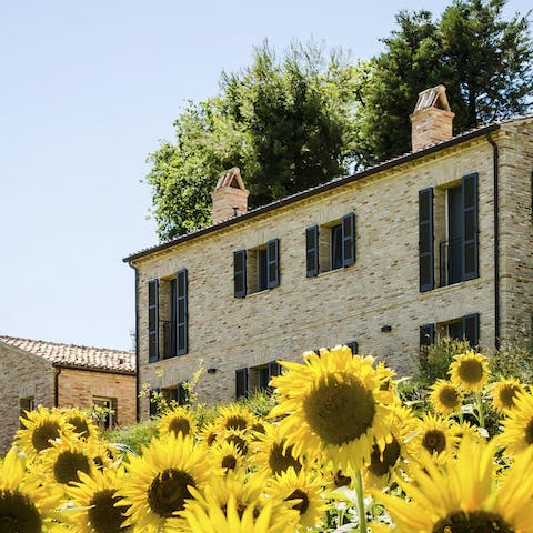 Gaze out at the sunflower fields in summer from the bedrooms or as you float in the pool