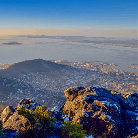 Drink in the incredible views from Table Mountain – you need only drive ten minutes