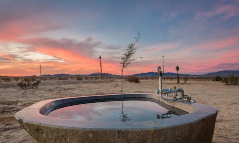 The Tamarisk Oasis